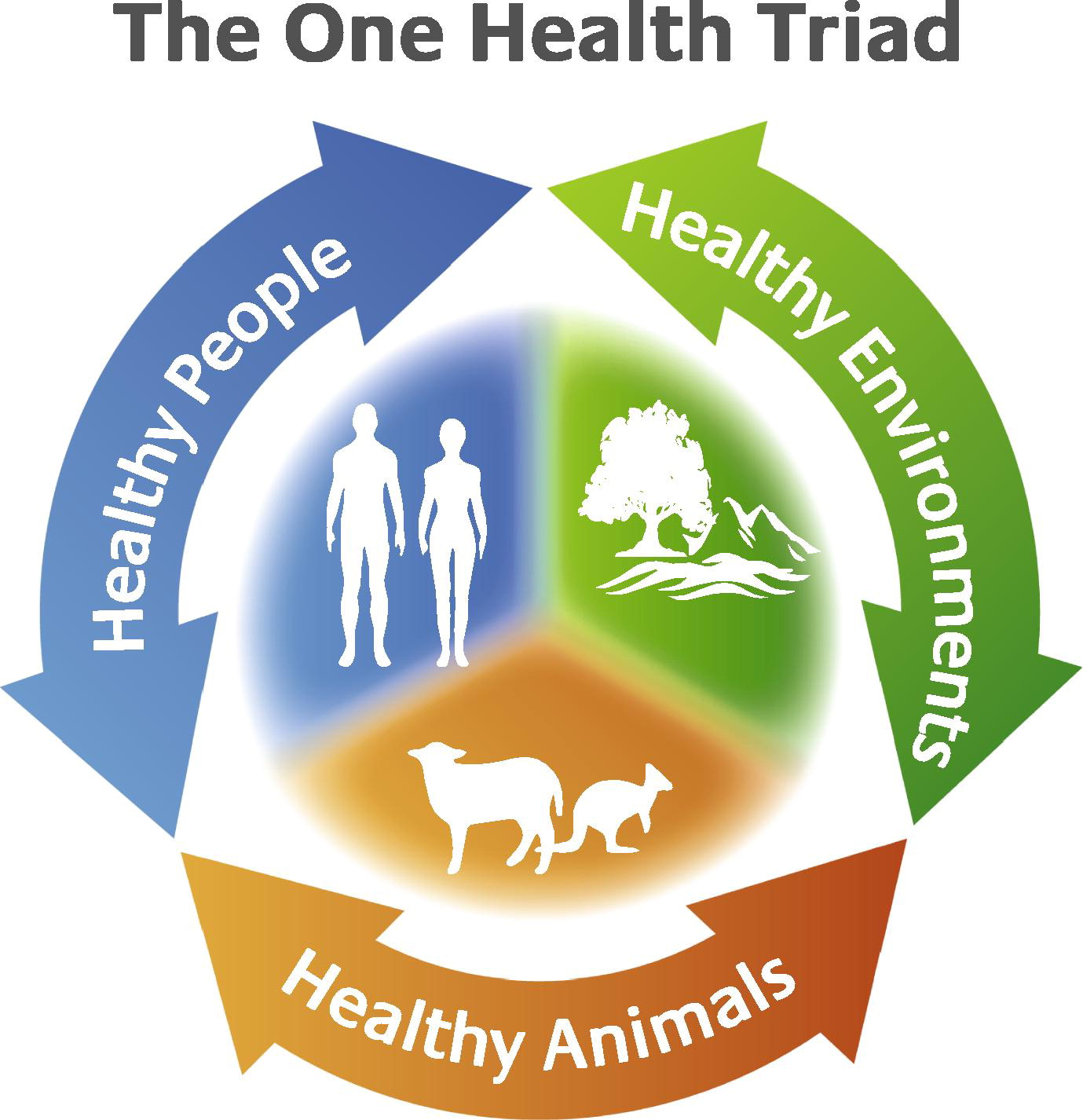 Animal Health System Support for One Health Blog Image