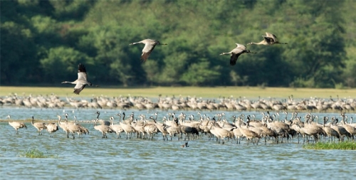 Barda Wildlife Sanctuary Blog Image