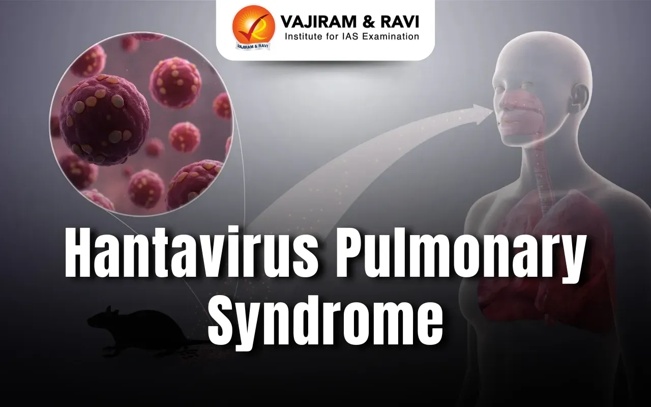 Hantavirus Blog Image
