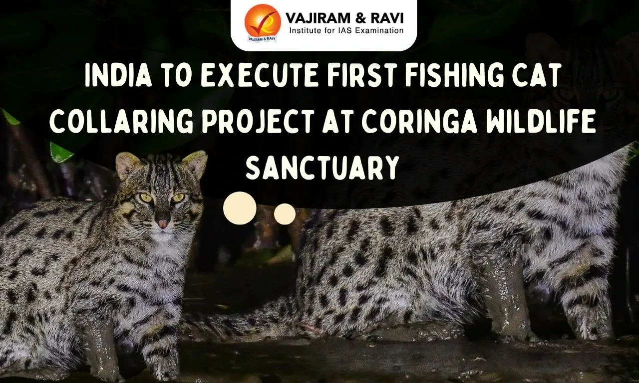Coringa Wildlife Sanctuary Blog Image