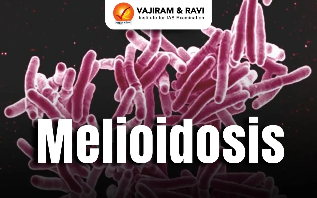 Melioidosis Blog Image