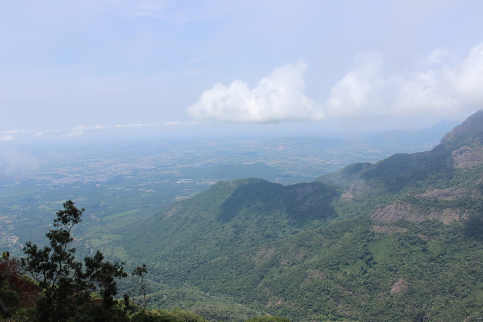 Nilgiri Biosphere Reserve Blog Image