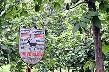 Ratapani Wildlife Sanctuary Blog Image