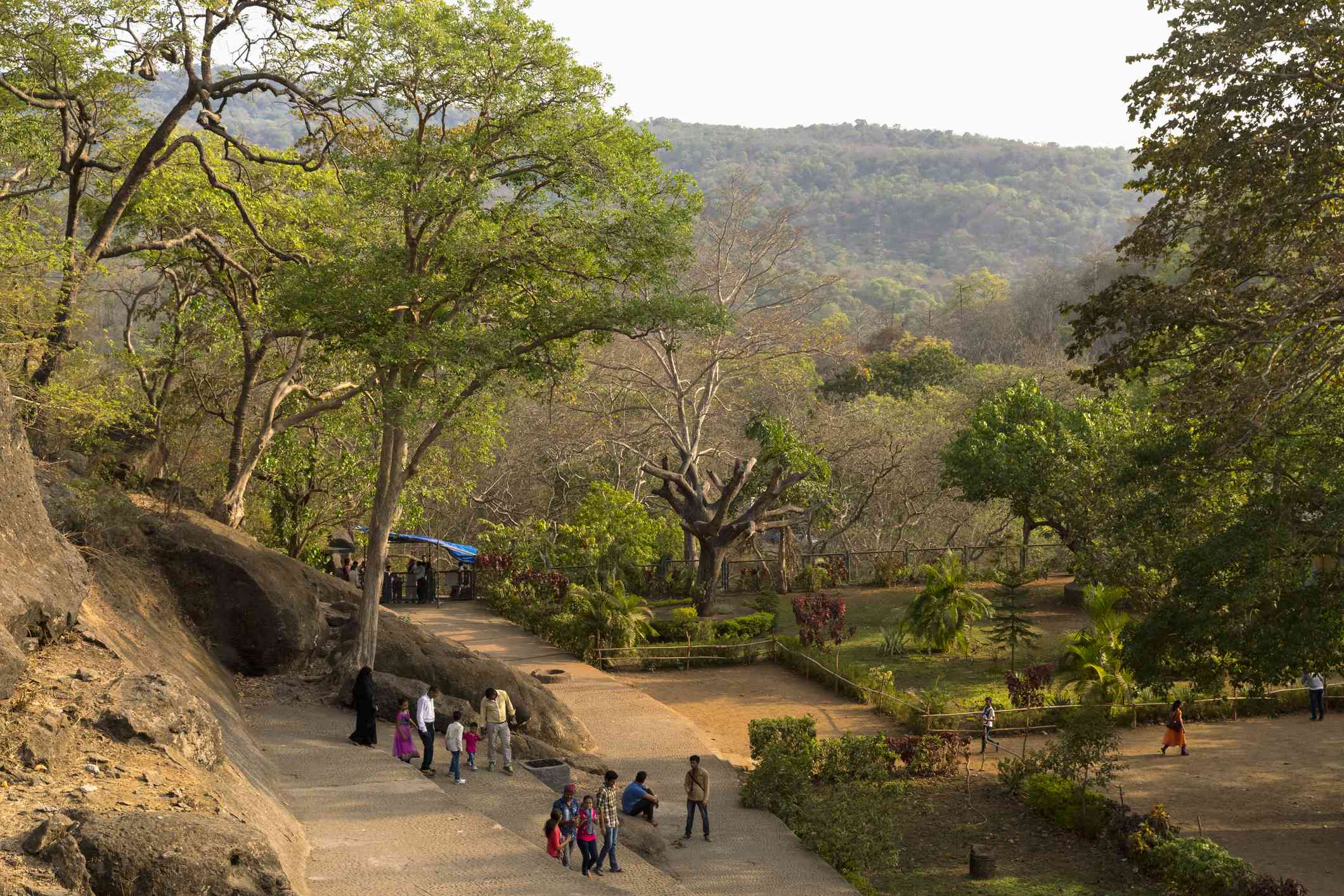 Sanjay Gandhi National Park (SGNP) Blog Image