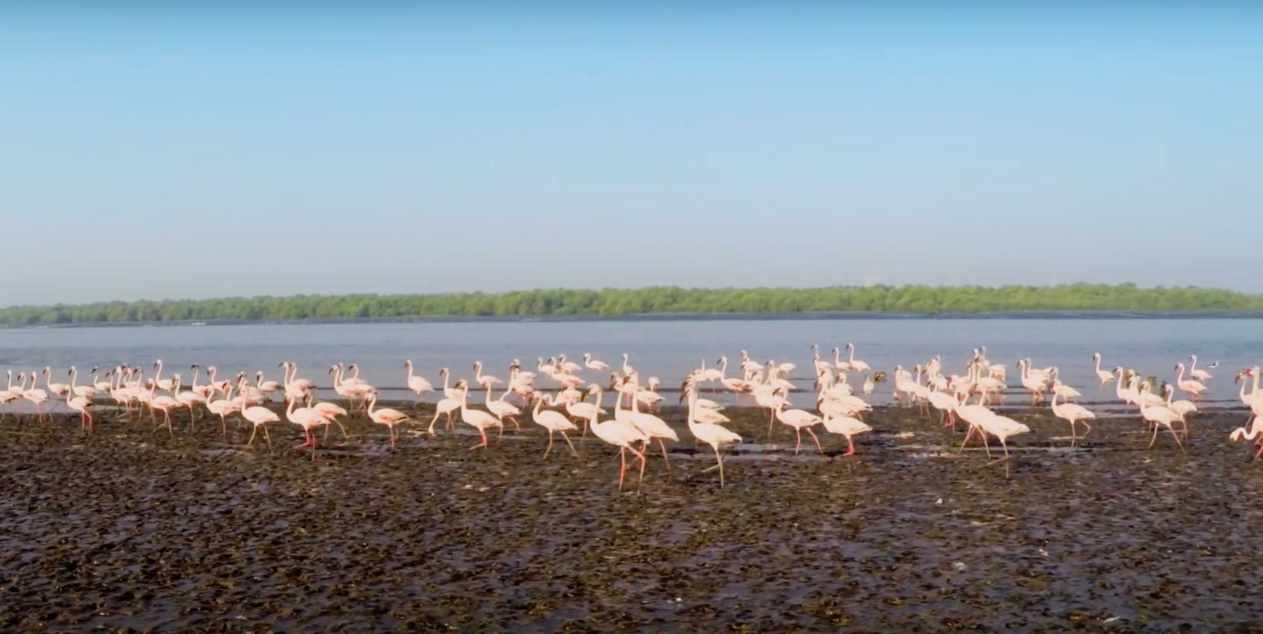 Thane Creek Blog Image