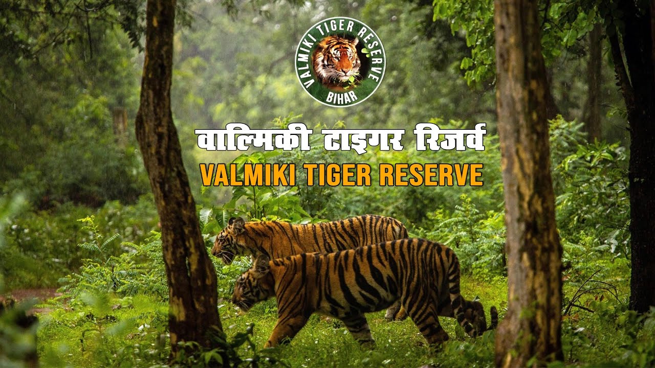 Valmiki Tiger Reserve Blog Image