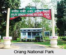 Orang National Park Blog Image